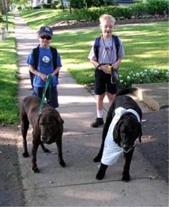 Bus stop boys with pups.  Henry with t-shirt over his boo-boo
