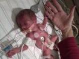 Newborn Noah